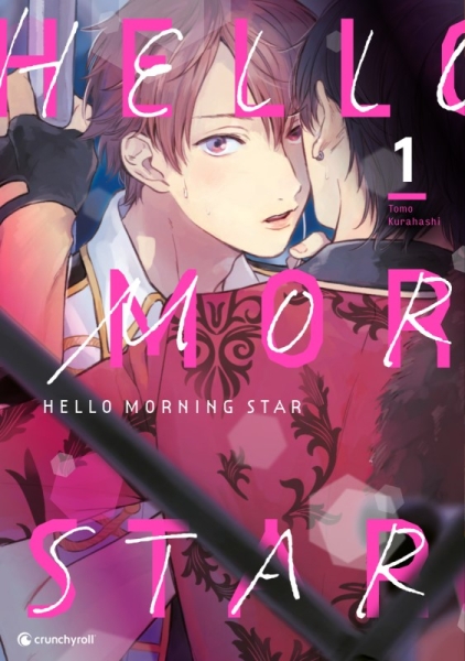 Hello Morning Star 1
